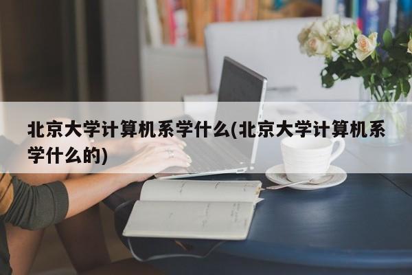 北京大学计算机系学什么(北京大学计算机系学什么的)